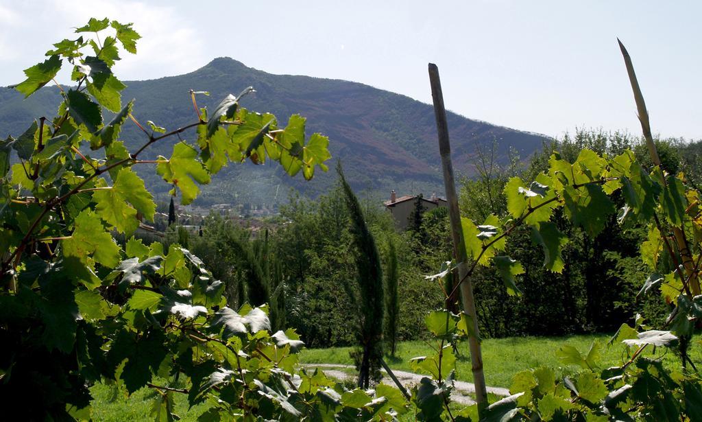 Villa Al Palazzaccio à Calci Extérieur photo