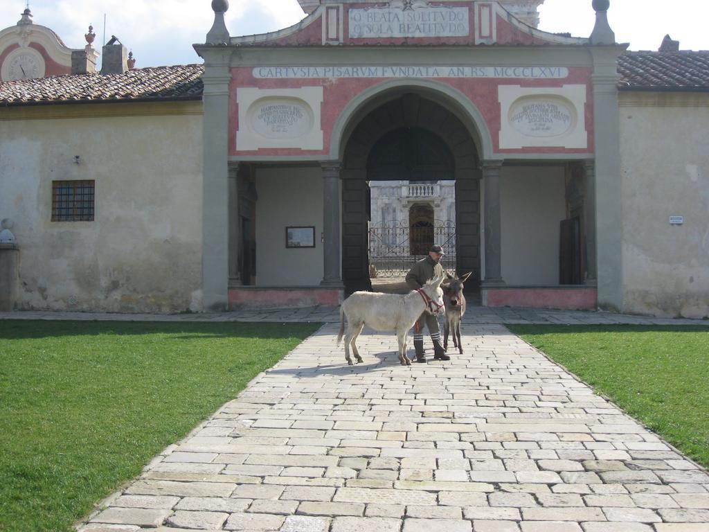 Villa Al Palazzaccio à Calci Extérieur photo