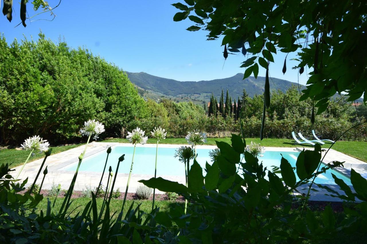 Villa Al Palazzaccio à Calci Extérieur photo